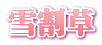 雪割草