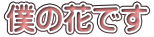 僕の花です